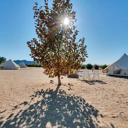 The Castle House Estate Hotel Joshua Tree Exterior foto